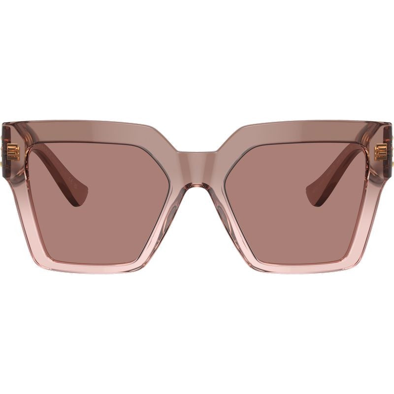 Sunglasses 4458