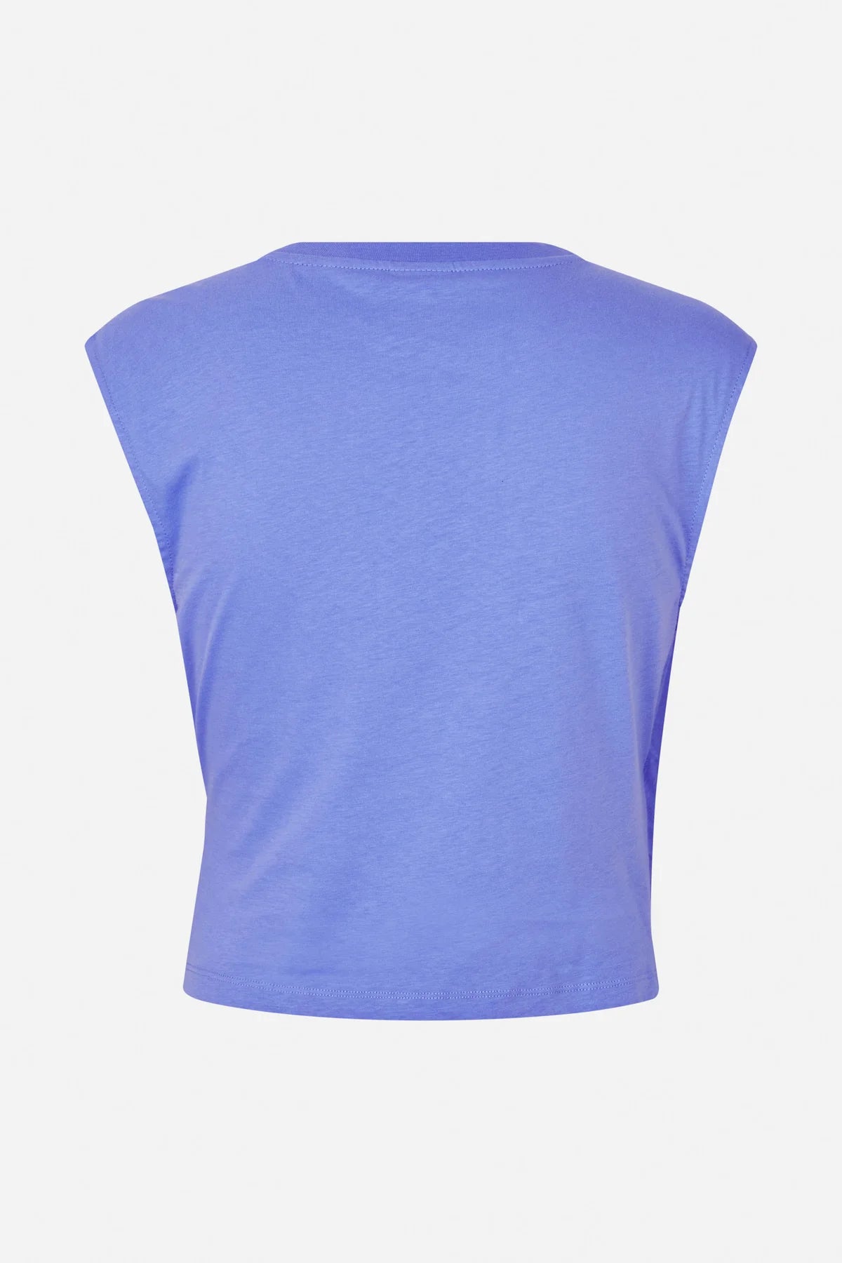 Jaliyah T Shirt - wedgewood Blue