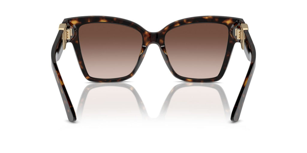 Sunglasses ODG 4470