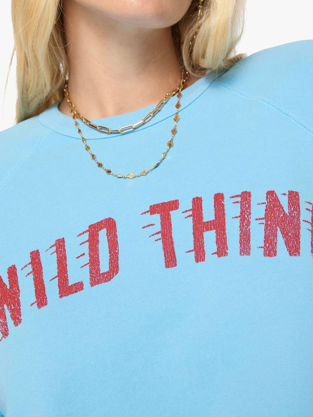 The Concert - Wild Thing