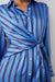 Lacey Shirtdress in Primrose Stripe