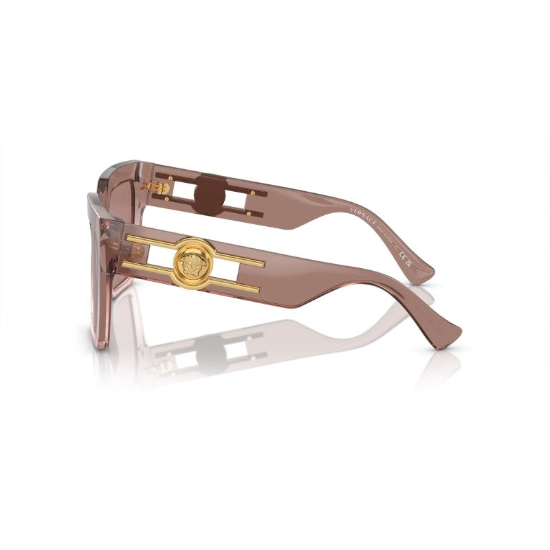 Sunglasses 4458